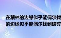在禁林的边缘似乎能偶尔找到破碎的福..拼图线索（在禁林的边缘似乎能偶尔找到破碎的福..拼图线索）