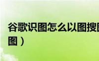 谷歌识图怎么以图搜图（如何使用谷歌以图搜图）