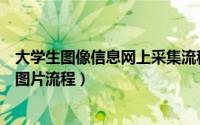 大学生图像信息网上采集流程（大学生图像信息采集网提交图片流程）