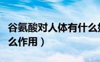 谷氨酸对人体有什么好处（谷氨酸对人体有什么作用）
