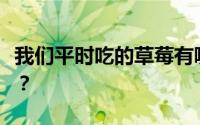 我们平时吃的草莓有哪一部分其实是蚂蚁庄园？
