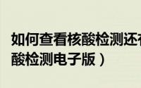 如何查看核酸检测还有多长时间（如何查看核酸检测电子版）