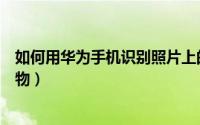 如何用华为手机识别照片上的植物（如何用华为手机识别植物）