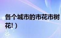 各个城市的市花市树（中国主要城市的市树市花!）