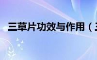 三草片功效与作用（三草茶的作用和功效）