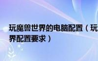 玩魔兽世界的电脑配置（玩魔兽世界电脑配置 wow魔兽世界配置要求）