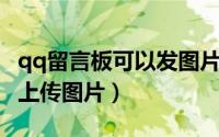 qq留言板可以发图片吗（QQ空间留言板怎么上传图片）