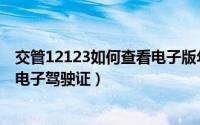 交管12123如何查看电子版年检标志（交管12123如何查看电子驾驶证）