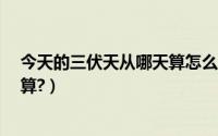 今天的三伏天从哪天算怎么算（三伏天从哪天开始?怎么计算?）