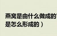 燕窝是由什么做成的?（燕窝是什么做的 燕窝是怎么形成的）