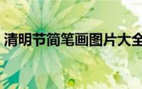 清明节简笔画图片大全简单（清明节简笔画）
