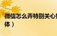 微信怎么弄特别关心好友（微信怎么弄特殊字体）