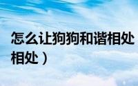 怎么让狗狗和谐相处（如何让孩子和狗狗友好相处）