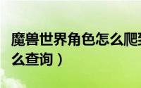 魔兽世界角色怎么爬到山顶（魔兽世界角色怎么查询）