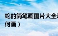 蛇的简笔画图片大全彩色（蛇的简笔画图片如何画）
