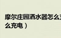 摩尔庄园洒水器怎么充电（摩尔庄园洒水器怎么充电）
