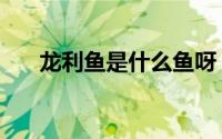 龙利鱼是什么鱼呀（龙利鱼是什么鱼）