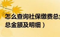 怎么查询社保缴费总金额（如何查询社保缴费总金额及明细）