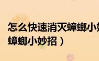 怎么快速消灭蟑螂小妙方（如何快速灭蟑螂除蟑螂小妙招）