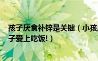 孩子厌食补锌是关键（小孩厌食怎么办?科学补锌硒,帮助孩子爱上吃饭!）