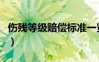 伤残等级赔偿标准一览表（伤残等级赔偿标准）