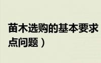 苗木选购的基本要求（选购苗木需要注意的九点问题）