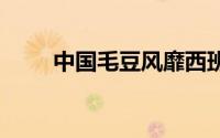 中国毛豆风靡西班牙1.6欧元500克