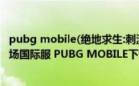 pubg mobile(绝地求生:刺激战场(国际版体验服))（刺激战场国际服 PUBG MOBILE下载教程）