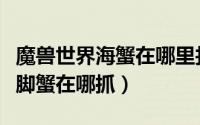 魔兽世界海蟹在哪里找（魔兽世界灵魂螃蟹鬼脚蟹在哪抓）