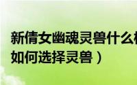 新倩女幽魂灵兽什么样的最好（倩女幽魂甲士如何选择灵兽）