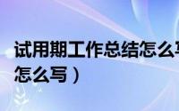 试用期工作总结怎么写范本（试用期工作总结怎么写）