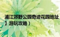 浦江郊野公园奇迹花园地址（上海浦江郊野公园【奇迹花园】游玩攻略）