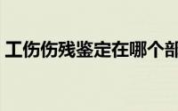 工伤伤残鉴定在哪个部门做（工伤伤残鉴定）