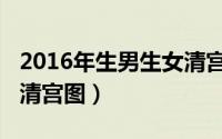 2016年生男生女清宫图解（2016年生男生女清宫图）