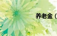 养老金（双轨制）