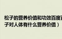 松子的营养价值和功效百度百科（松子的功效与作用——松子对人体有什么营养价值）