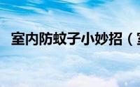 室内防蚊子小妙招（室内必备防蚊小妙招）