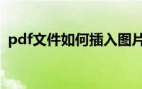 pdf文件如何插入图片（pdf文件如何编辑）