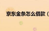 京东金条怎么借款（京东金条怎么借款）