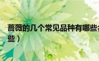 蔷薇的几个常见品种有哪些名字（蔷薇的几个常见品种有哪些）