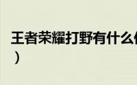 王者荣耀打野有什么作用（王者荣耀打野顺序）