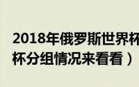 2018年俄罗斯世界杯分组（2018俄罗斯世界杯分组情况来看看）