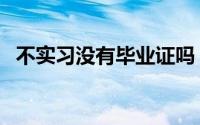 不实习没有毕业证吗（不实习没有毕业证）