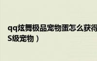 qq炫舞极品宠物蛋怎么获得（QQ炫舞手游宠物扭蛋怎么抽S级宠物）
