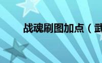 战魂刷图加点（武魂战骑加点攻略）