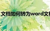文档如何转为word文档（文档如何转为pdf）