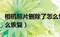 相机照片删除了怎么恢复（相机照片删除了怎么恢复）