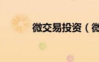 微交易投资（微交易投资技巧）
