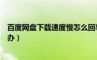 百度网盘下载速度慢怎么回事（百度网盘下载速度过慢怎么办）