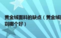 黄金绒面料的缺点（黄金绒面料和不倒绒面料之间有什么差别哪个好）